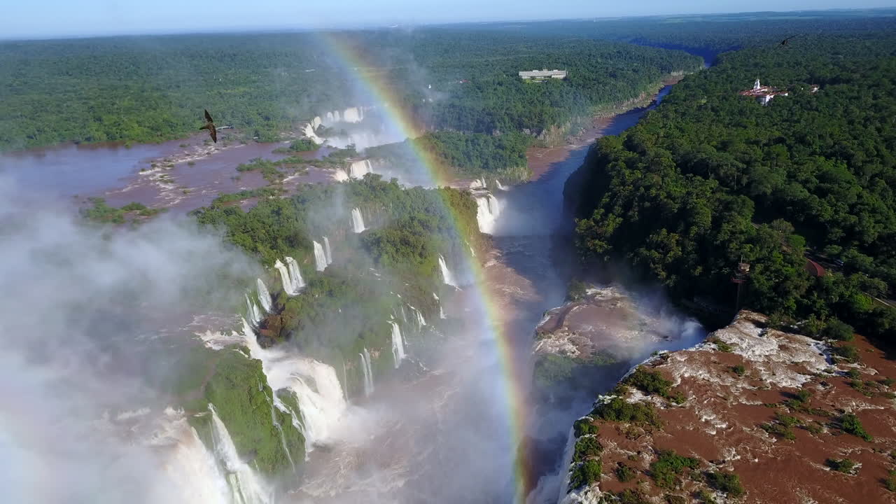 una impresionante vista de las cataratas de iguazu, adornadas con numerosas aves y un impresionante arco iris