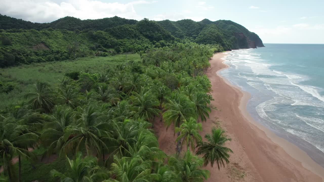 Drone view of Playa Pui Pui, lush greenery meets serene coastline