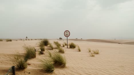 desert road with speed limit sign