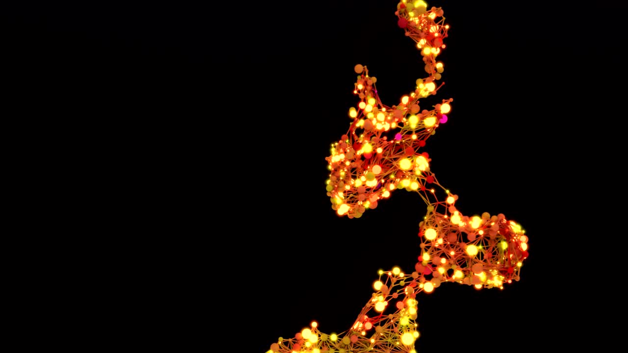 분자 네트워크 성장