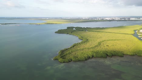 nichupté lagoon near playa langosta, cancun, with lush green mangroves, aerial view