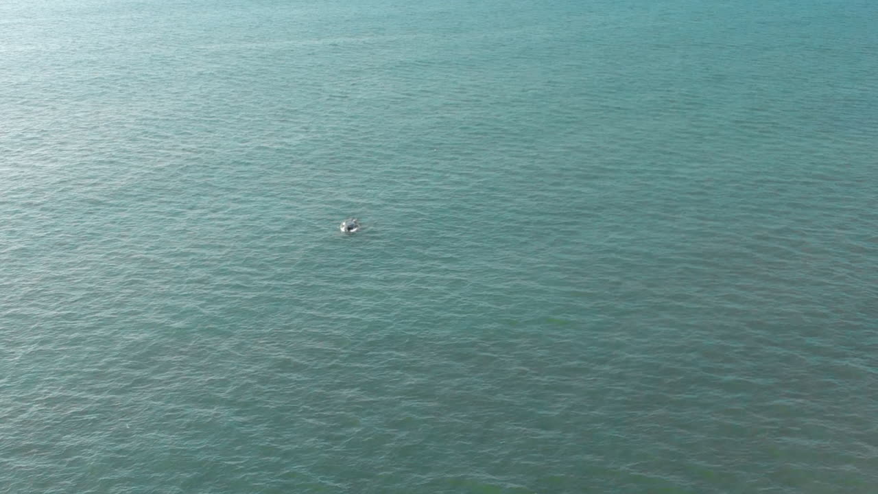 작은 고래 위반의 공중