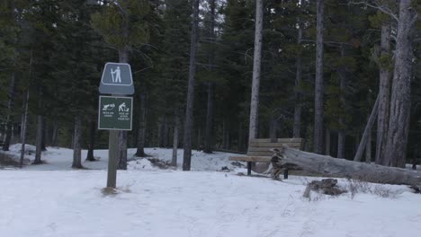 Empty-bench-in-the-winter-forest-in-cloudy-day-in-Rocky-Mountains