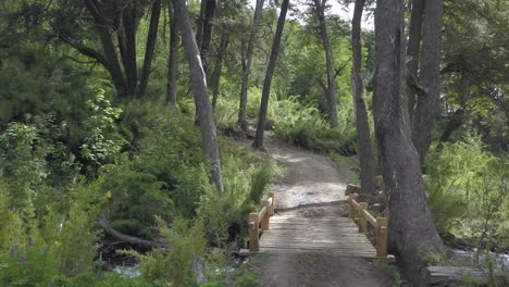 bridge taking to bosque andino patagonico argentina