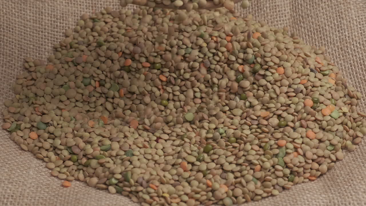 Lentils dry legumes organic agriculture, vegan vegetarian food
