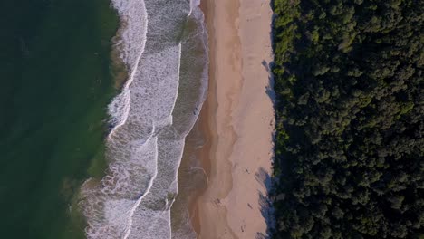 shell cove waves tide mystics illawarra state park surf break aerial drone birdseye view australia nsw sydney surfing surf surfer aussie wollongong south coast beach ocean coastal scenery static