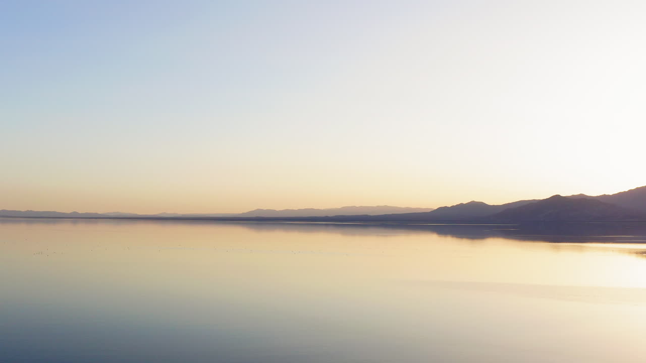 Serene view of Mojave's Salton Sea at sunrise with a great egret