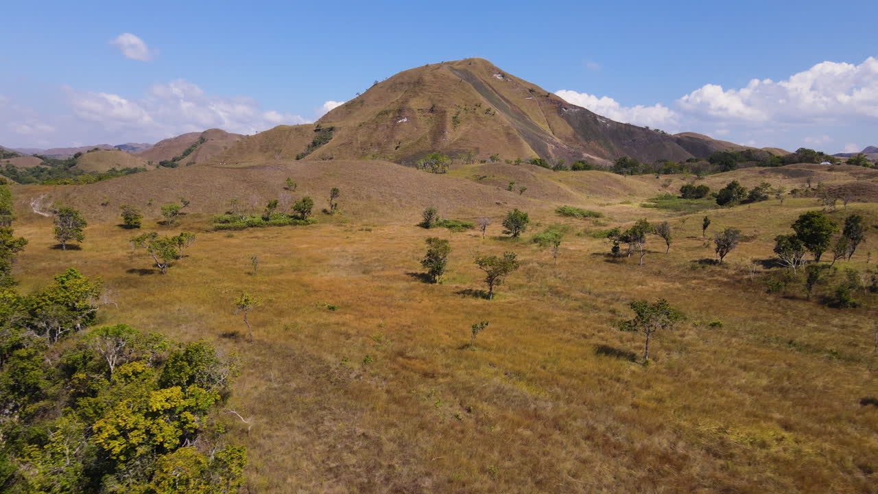 Scena tranquilla della natura con alberi isolati e montagne nell'isola di Sumba, Nusa Tenggara Orientale, Indonesia.