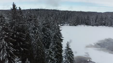 Frozen-lake-in-winter,-woods-covered-in-fresch-snow,-aerial-view,-Crno-jezero,-Black-lake,-Pohorje,-Slovenia