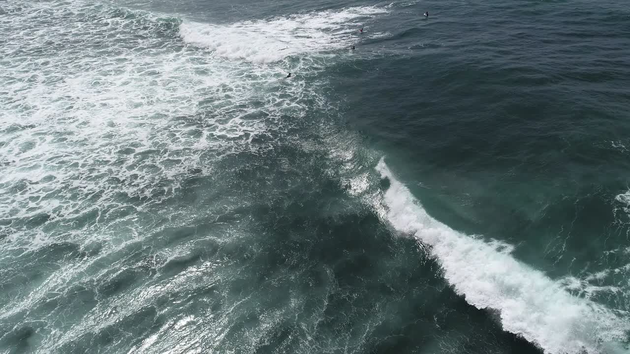 vista aérea. imágenes aéreas de drones de las olas del océano, una tortuga nadando en las olas