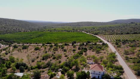 drone shot of the landscape in algarve, portugal.