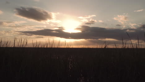 Puesta-De-Sol-Con-Hierba-De-Sierra-En-Los-Everglades