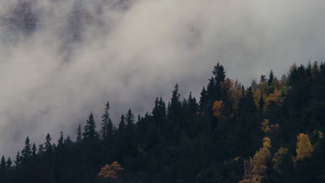 Clouds-Moving-Over-Coniferous-Forest-During-Autumn-In-Dovrefjell-sunndalsfjella-National-Park,-Norway