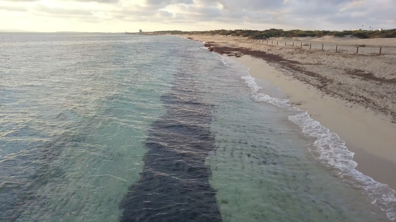 низколетящий аэрофотоснимок тропического пляжа
