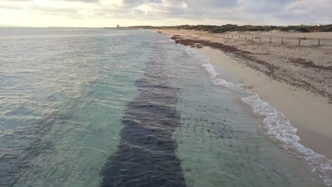 toma aérea de bajo vuelo de playa tropical