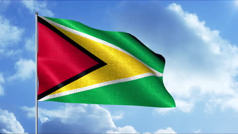 flag of guyana