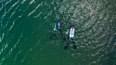 top down aerial view of two scuba divers swimming in turquoise waters