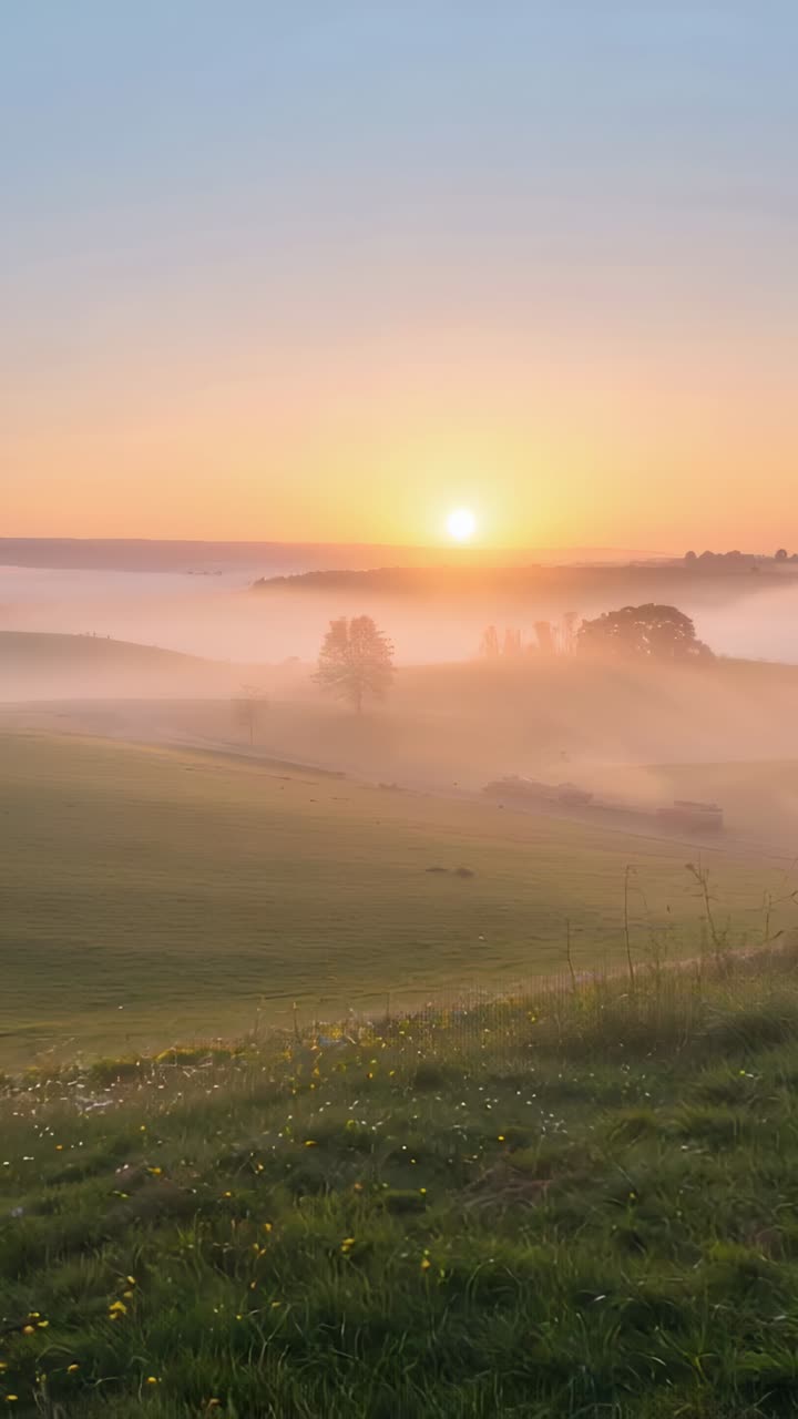 Vertikales Video: Aufgehende Sonne erhellt nebliges Tal an ländlichem Hang, lichtet Nebel und wärmt Felder