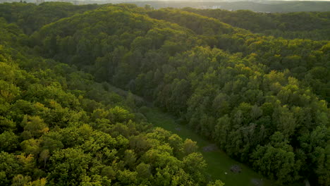 beautiful forest in spring with lush green vegetation in polanka redlowska, gdynia, poland - aerial drone shot