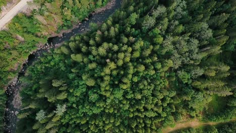 straight down and crane up aerial shot from a forest and a river pt