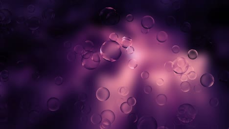 abstract bubbles background loop