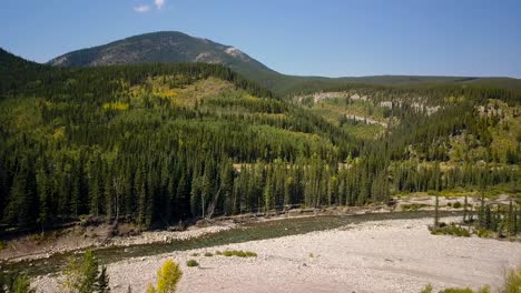 Plano-Diurno-Aéreo-Medio-Ancho-Volando-Hacia-Un-Rápido-Río-Empinado-Entre-árboles-De-Un-Bosque-De-Pinos-De-Verano-En-Los-Picos-De-Las-Montañas-Rocosas-En-Alberta-Canadá