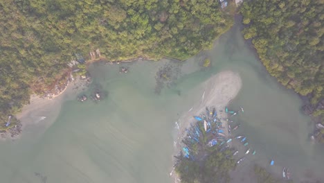 barcos amarrados en una isla con bosques peludos en la playa de palolem en canacona, goa del sur, india