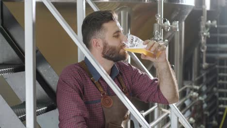 young brewer wearing a leather apron is tasting beer at a modern brewery