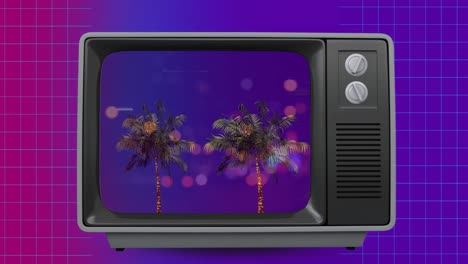 front view of an old tv sizzling with palm trees on screen