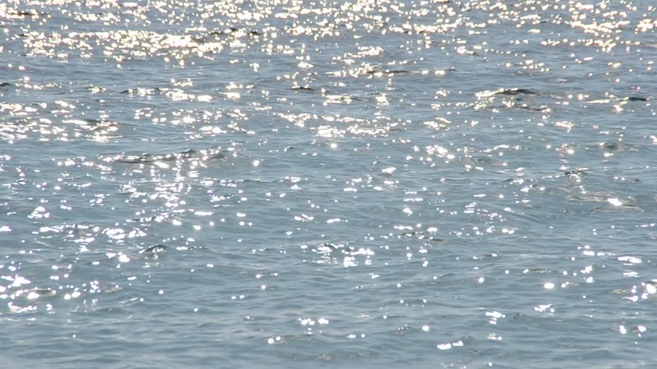 海