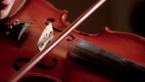 female musician playing the violin