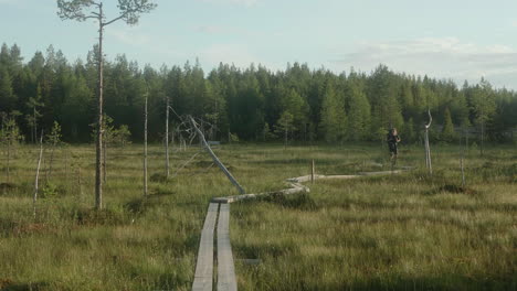 Male-Hiker-Walking-on-Wooden-Planks-in-a-Forest-and-Meadow-Landscape-on-the-Karhunkierros-Trail-in-a-Beautiful-Sunset-Atmosphere,-Finland,-Ruka