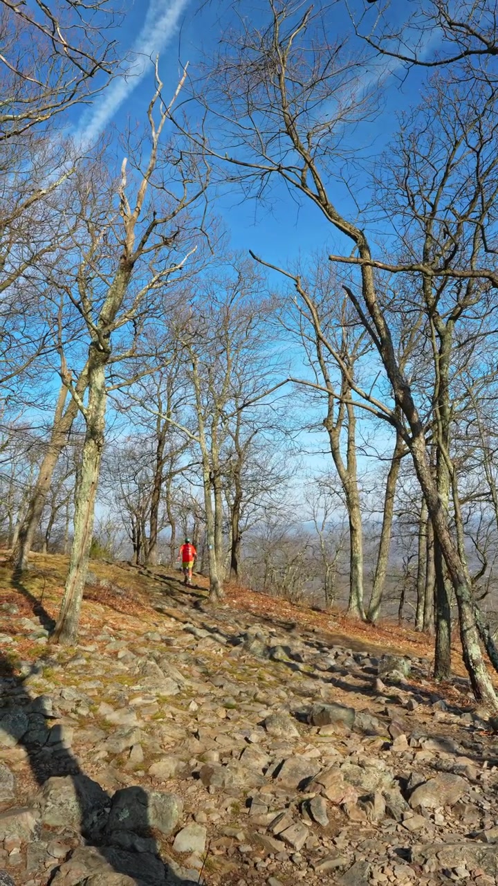 Pessoa fazendo trilha em caminho rochoso sob céu azul com rastros de condensação. Plano geral de um caminhante em trilha rochosa íngreme no Monte Tammany. Árvores desfolhadas, céu azul, vista de paisagem de alta altitude.