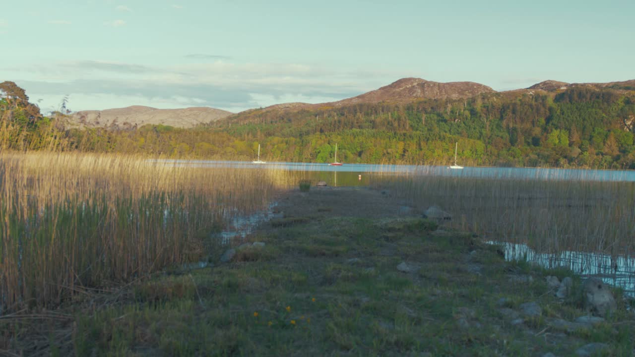 Paesaggio panoramico di lago e natura selvaggia lussureggiante sotto il sole
