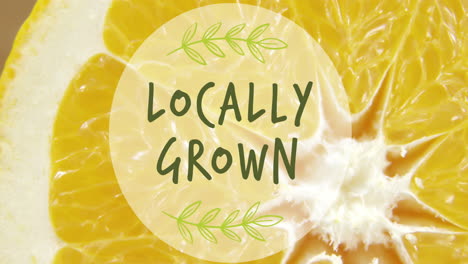 locally grown text banner against close up view of an orange