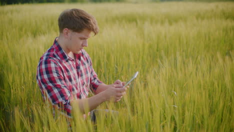 farmer using a tablet to inspect a wheat field