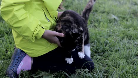 cat caresses with the girl