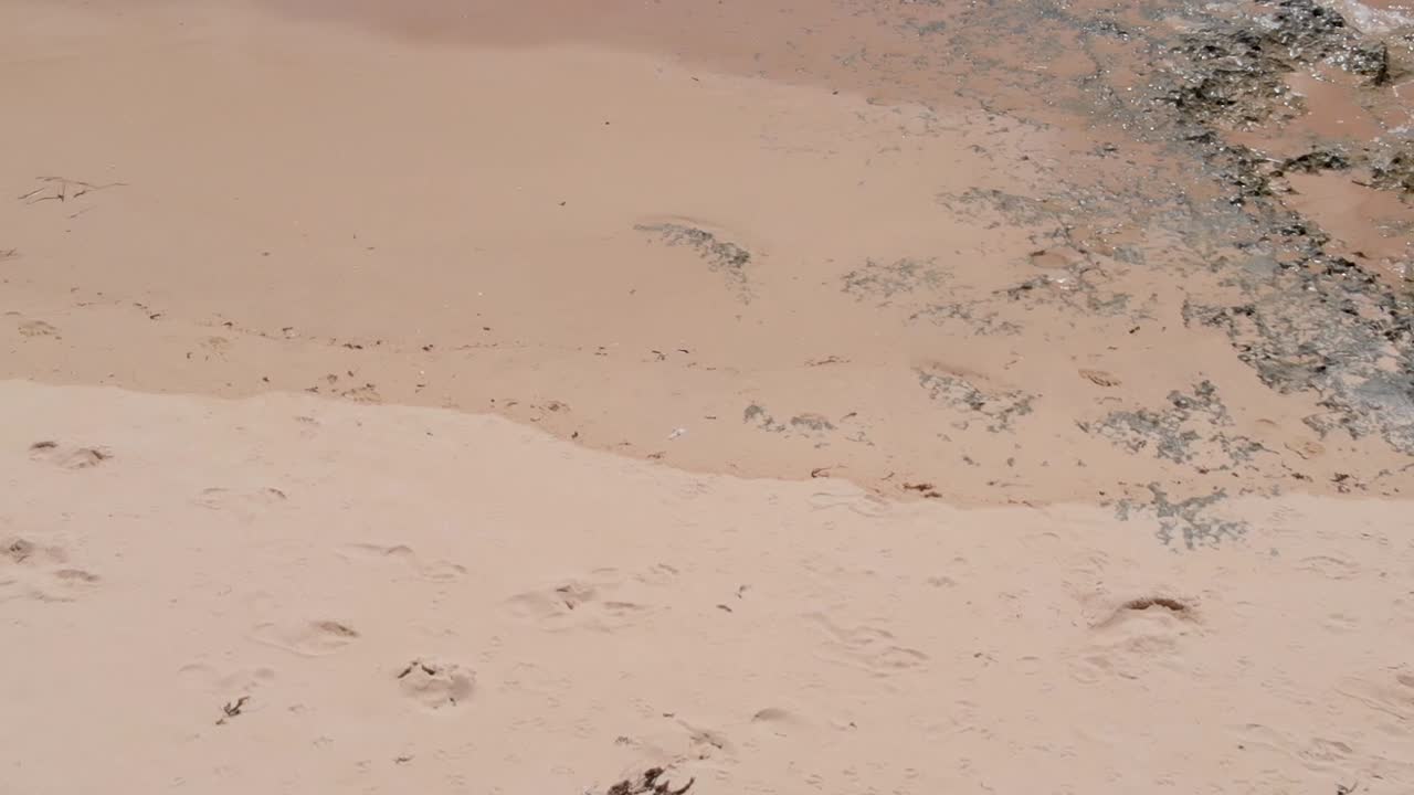 해변에서 바다로, 속도를 늦추다