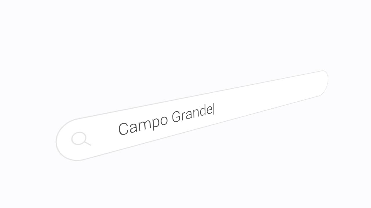 Grafisk browser søgemaskine-grænseflade med teksten Campo Grande. Nærbillede