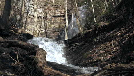 cascading waterfalls rushing down small creek in dense forest, 4k