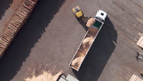 payloader loading bulk of sawdust into trailer truck at wood factory