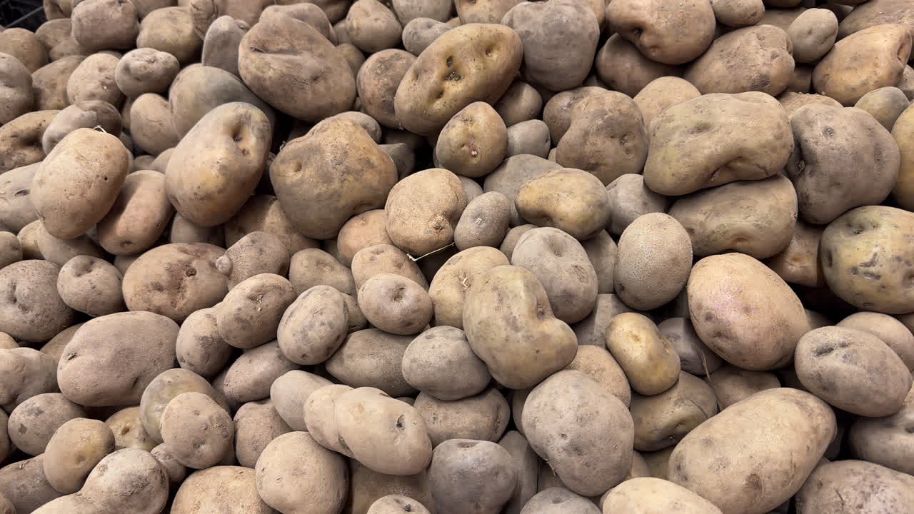 Pile of Fresh Potatoes