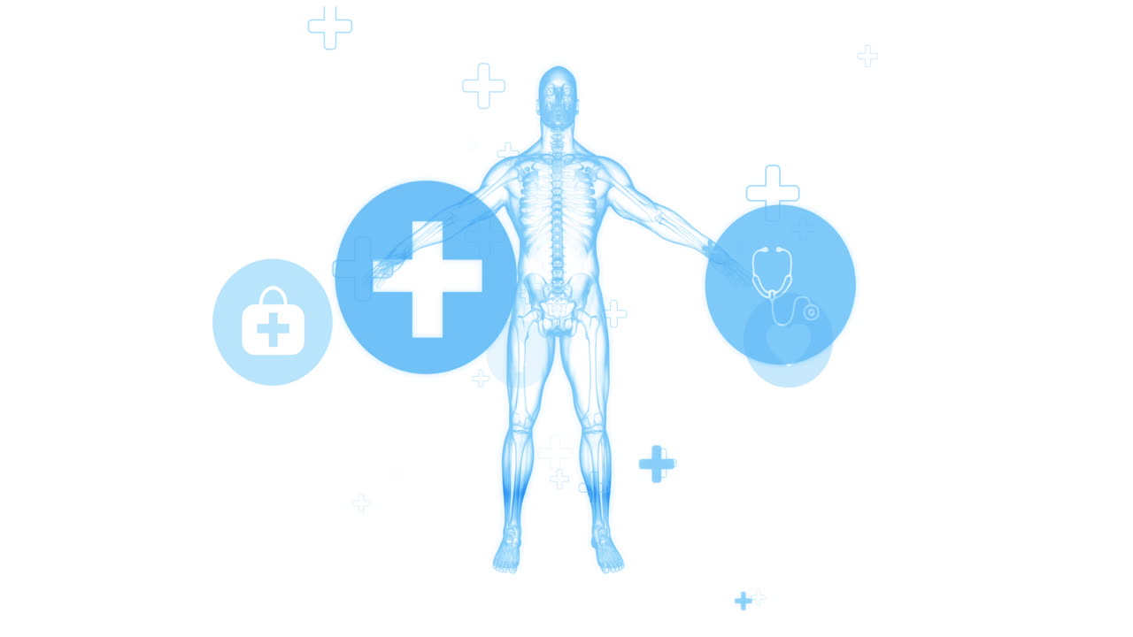 Medicinsk og Anatomisk Illustration