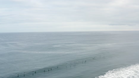 cinematic drone shot of birds flying over the ocean