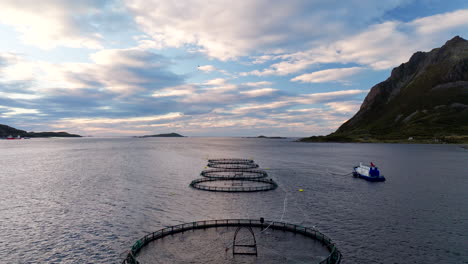 el negocio de las granjas de salmón, las industrias noruegas, vista aérea de dolly