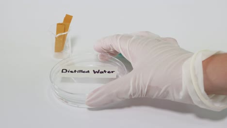 litmus paper dipped in distilled water