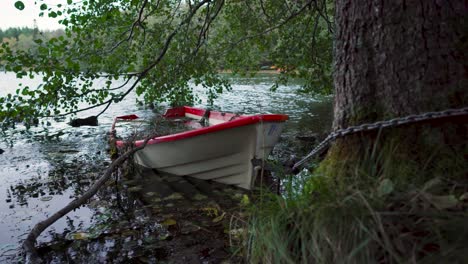 Partially-submerged-boat-at-the-shore-of-a-lake