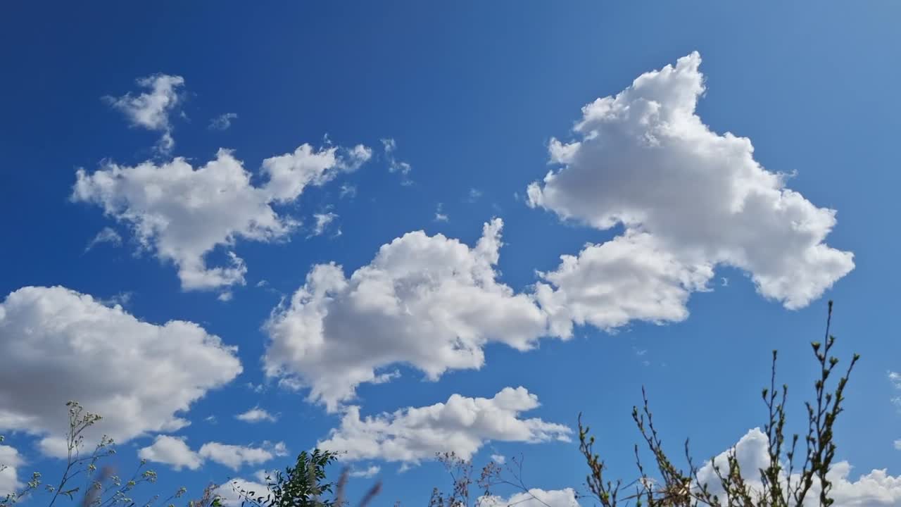 A tranquil day in the countryside with blue skies and fluffy clouds over green foliage