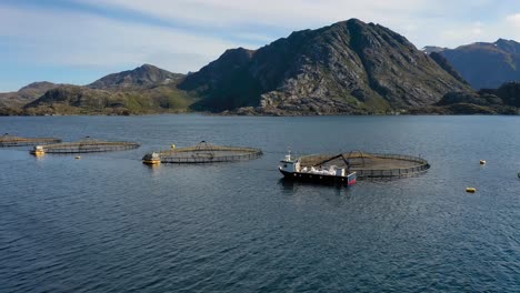 aerial footage farm salmon fishing in norway