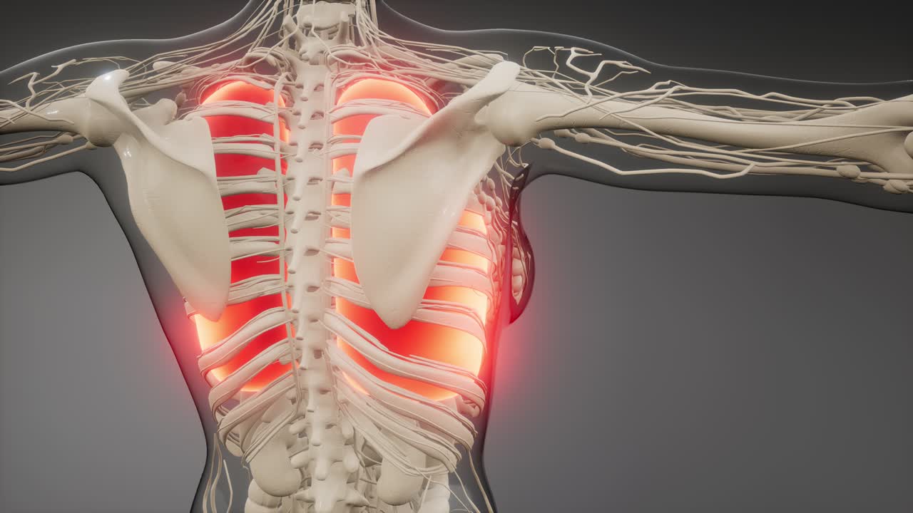 рентгенологическое обследование легких человека